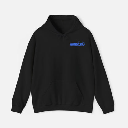 Salve Regina Mary Heavy Hoodie